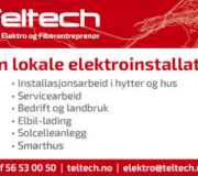Teltech elektro web